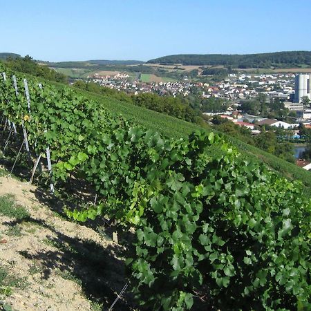 Weinstube Schwalbennest Hotel Karlstadt Bagian luar foto