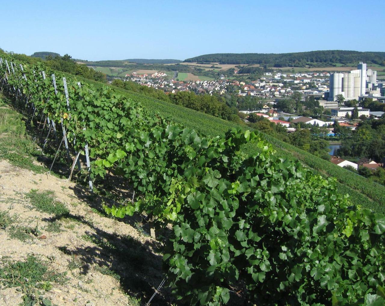 Weinstube Schwalbennest Hotel Karlstadt Bagian luar foto