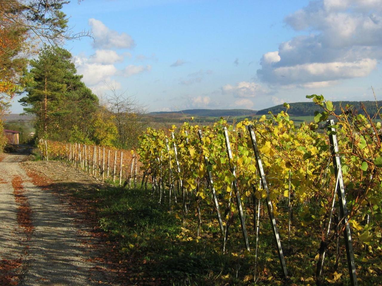 Weinstube Schwalbennest Hotel Karlstadt Bagian luar foto